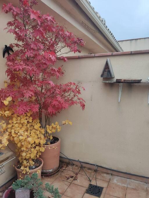 Apartamento Luminoso Con Jardin La Zubia  Exterior foto